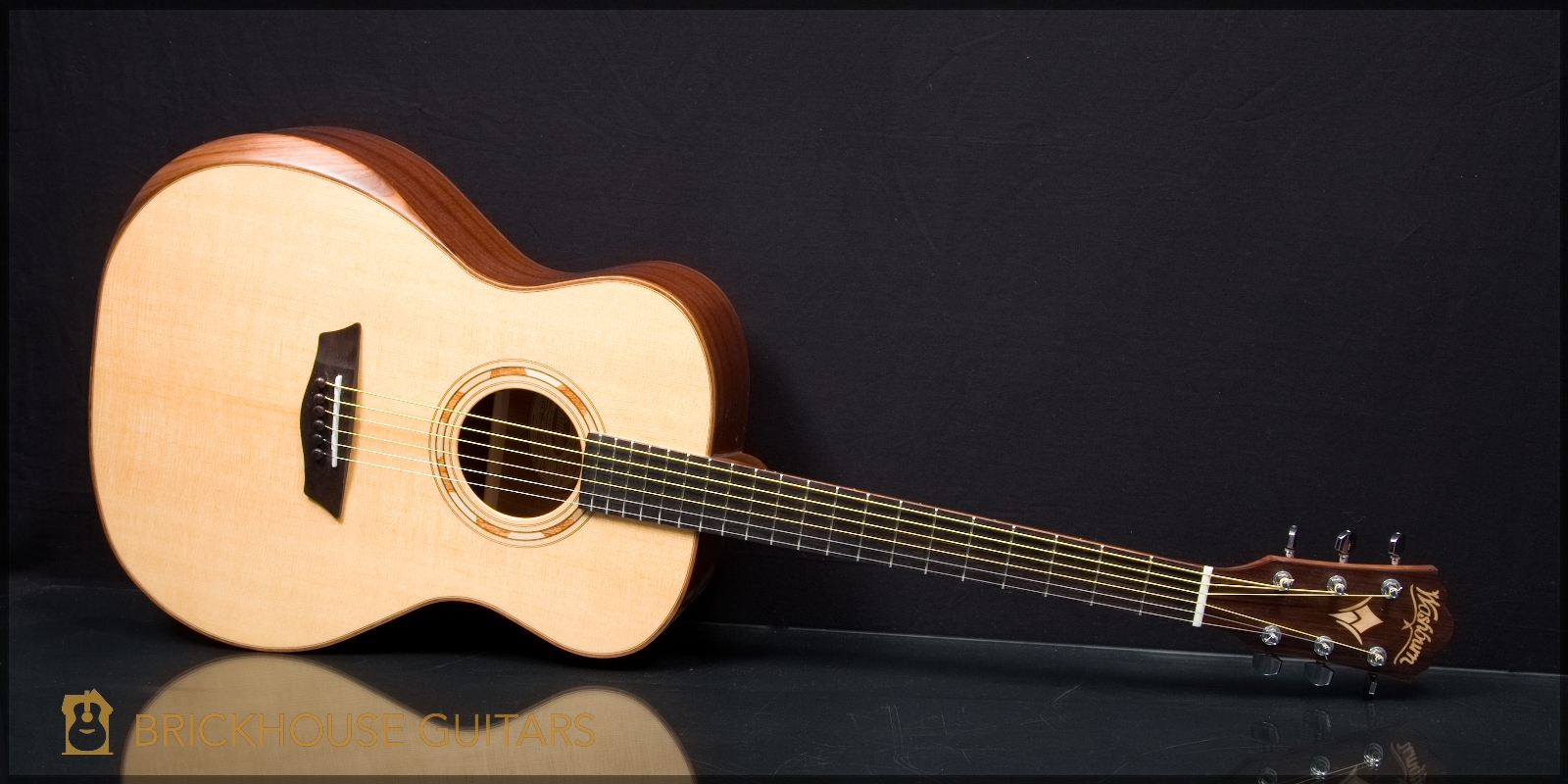 washburn g10se